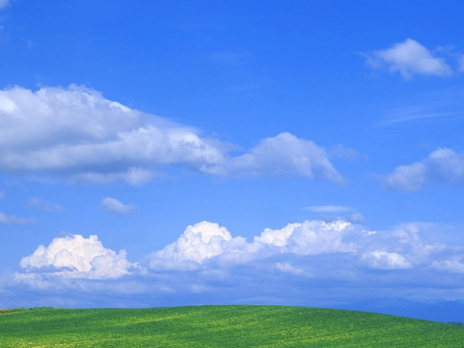 下载的课件~。~大家来找茬_第2页