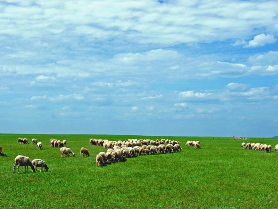 下载的课件~。~大家来找茬_第3页