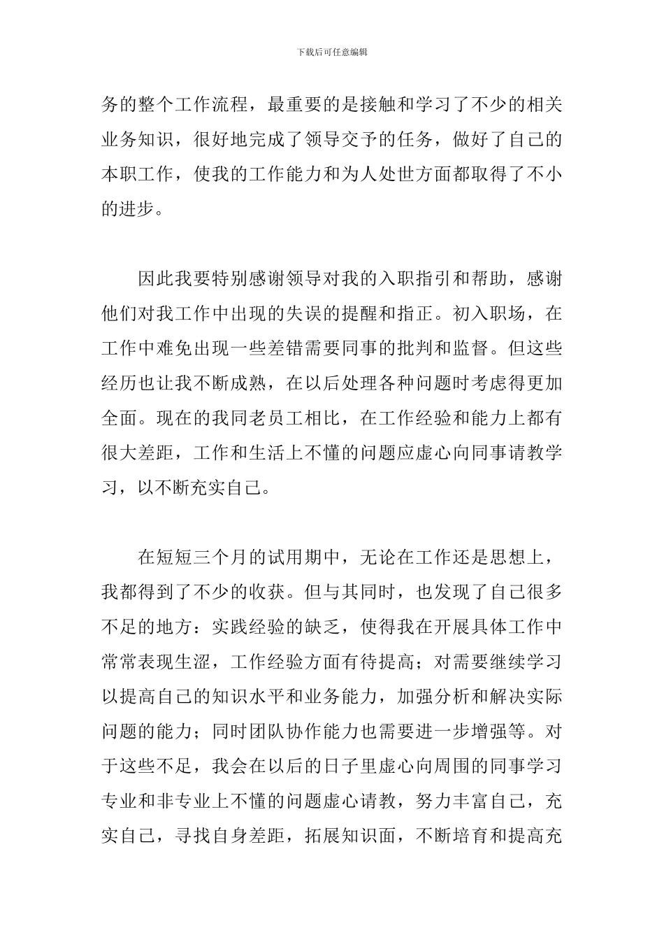 业务员个人试用期转正工作总结_第2页