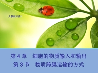 【生物】43物质跨膜运输的方式课件2（人教版必修1）