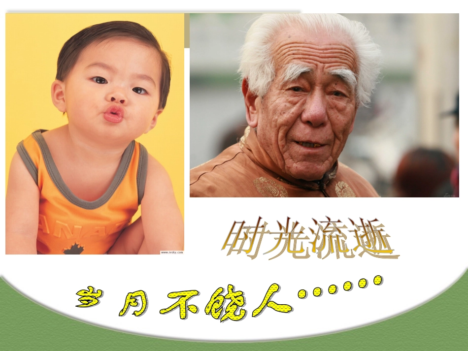 细胞衰老癌变_第2页