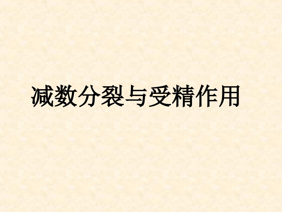 减数分裂。。。。_第1页