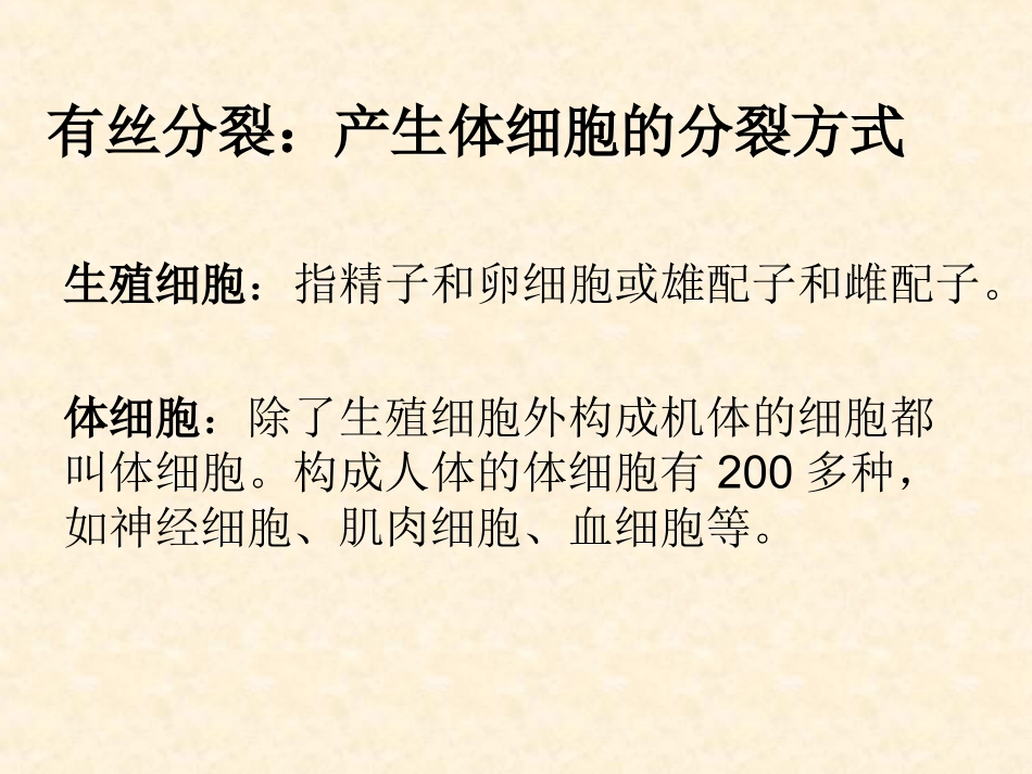 减数分裂。。。。_第2页