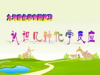 认识几种化学反应（专题复习）