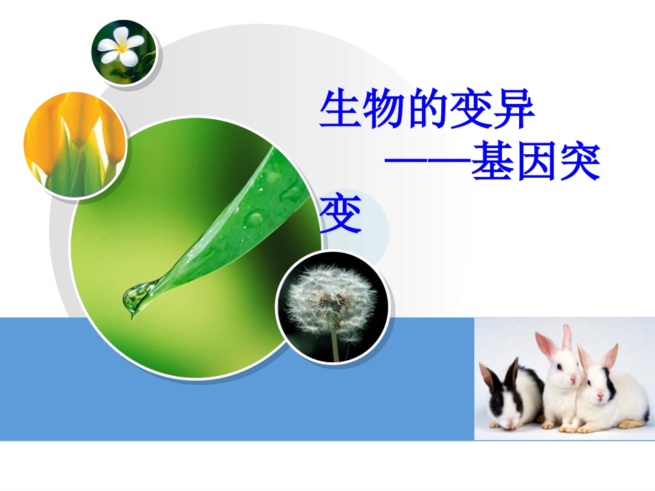 基因突变（课件）_第1页