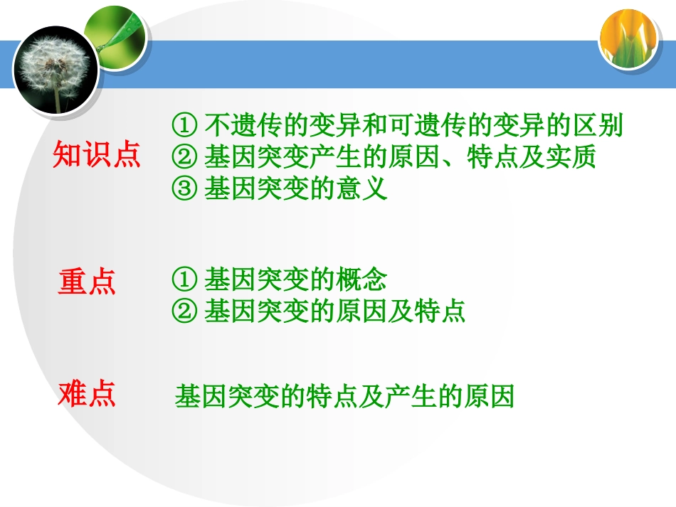 基因突变（课件）_第2页