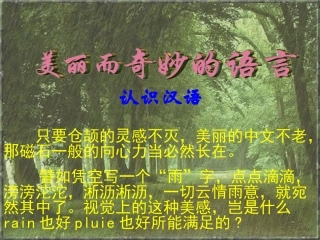 《美丽而奇妙的语言》