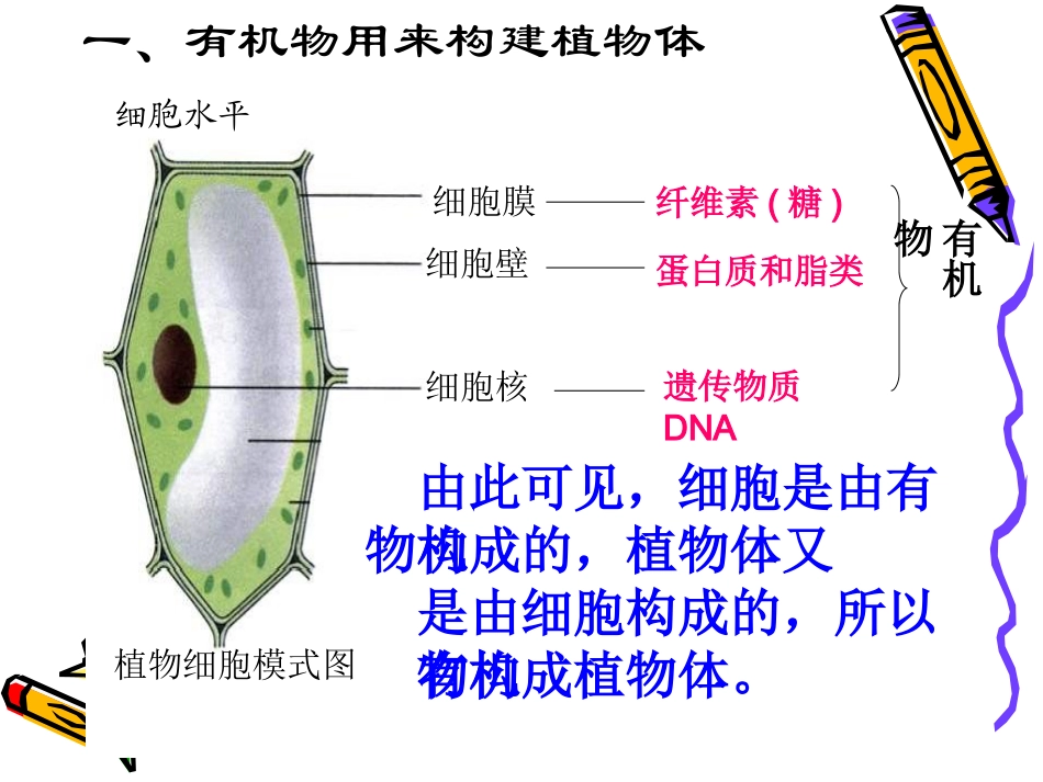 中学李耀华有机物利用_第3页