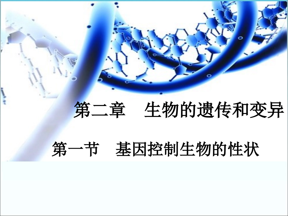 《基因控制生物的性状》参考课件_第2页
