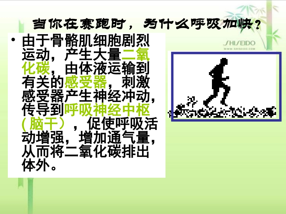 神经调节和体液调节的关系_第3页