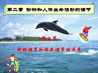 神经调节和体液调节的关系