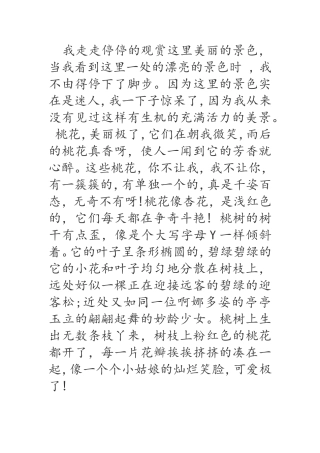 我走走停停的观赏这里美丽的景色