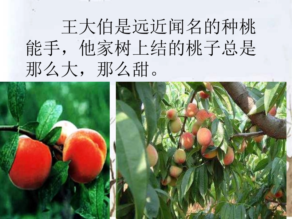 剪枝的学问1_第2页