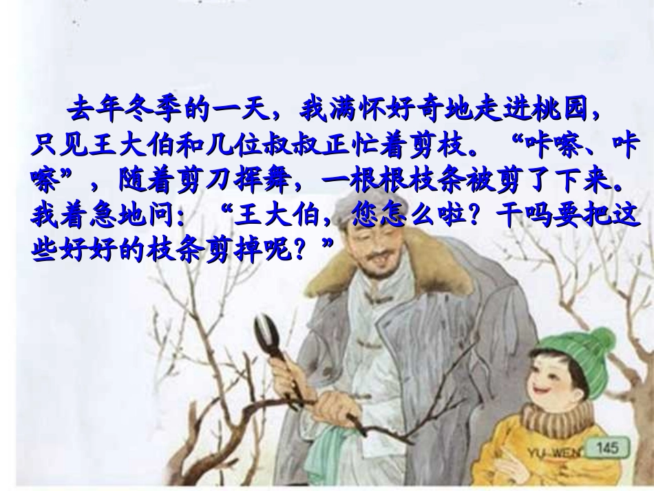 剪枝的学问1_第3页