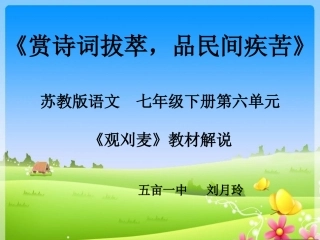 赏诗词拔萃，品民间疾苦》