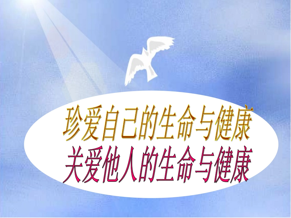 同样的权利_同样的爱护_第2页