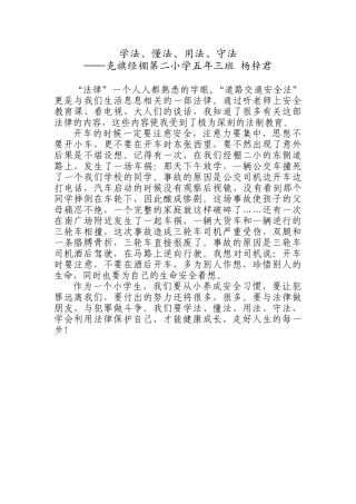 征文—杨梓君