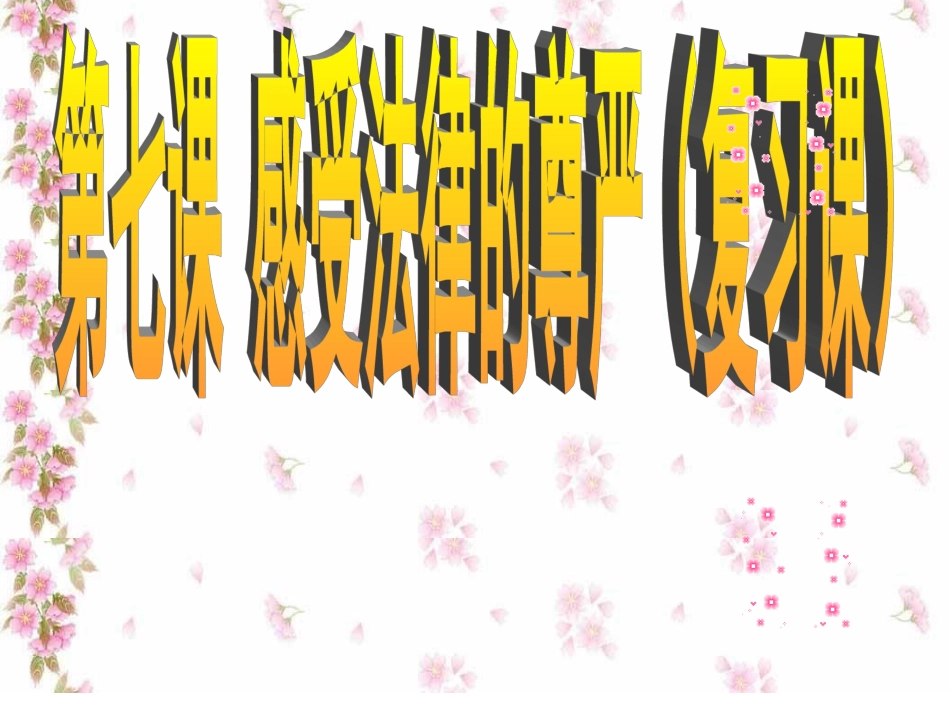 复习课第七课感受法律的尊严_第2页