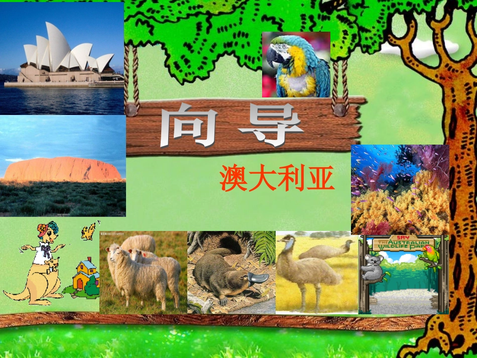 澳大利亚 (3)_第2页