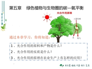 最新人教版351光合作用吸收二氧化碳释放氧气