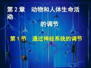 人教必修3+21通过神经系统的调节（共31张PPT）