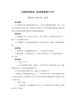 幼儿园大班科学探索活动