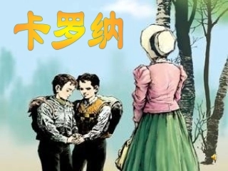 卡罗纳课件(1)