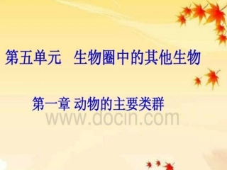 动物的主要类群