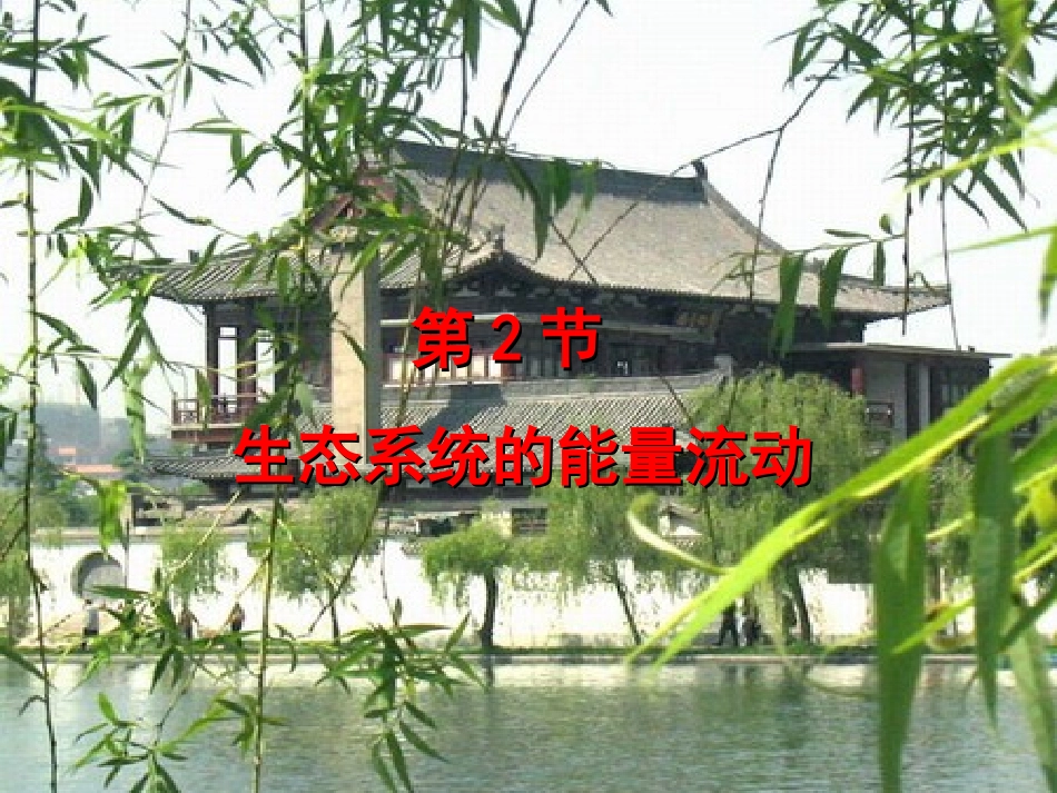 生态系统的能量流动1_第1页