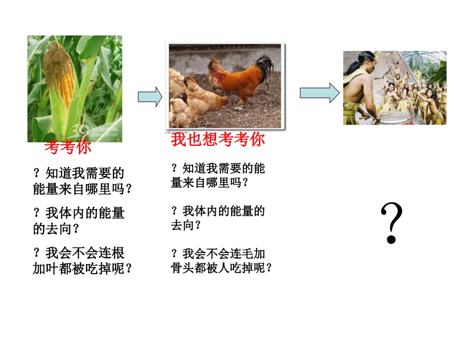 生态系统的能量流动1_第2页