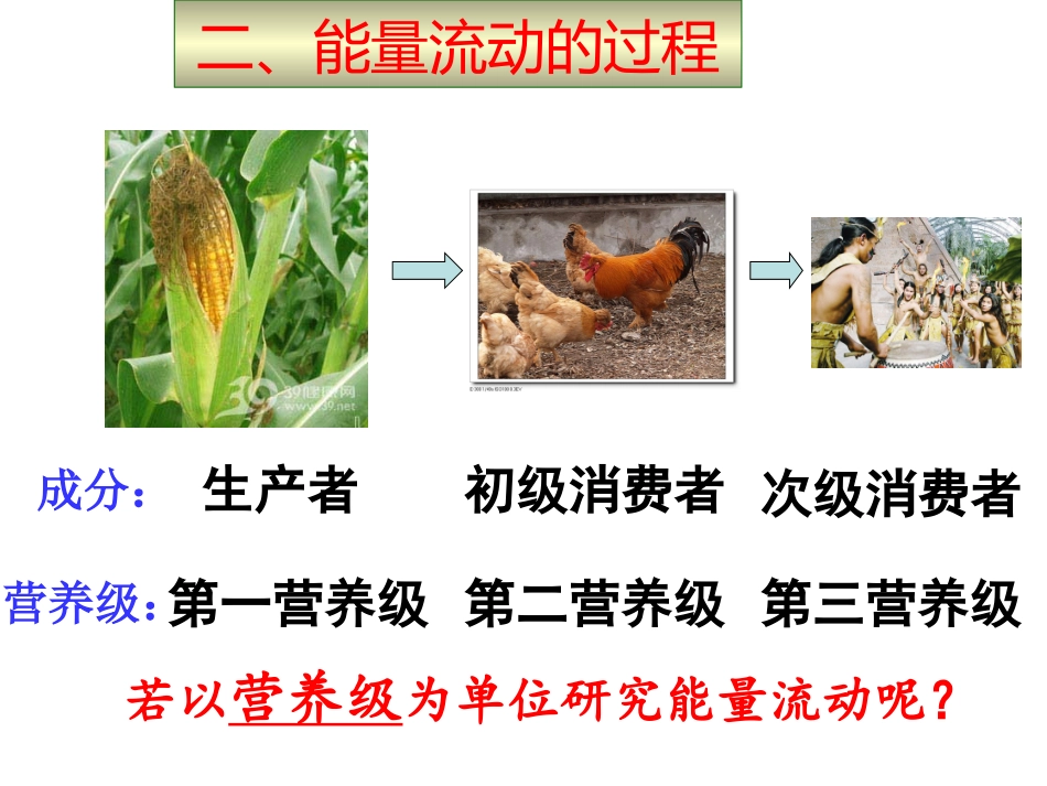 生态系统的能量流动1_第3页