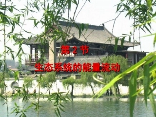 生态系统的能量流动1