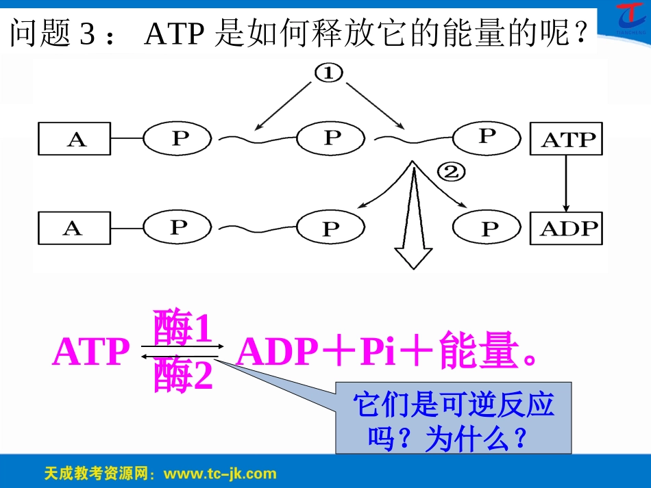 第5章第二讲ATP及其主要来源——细胞呼吸_第3页
