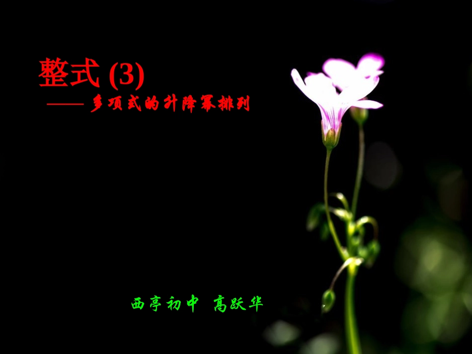 整式(升降幂)_第1页