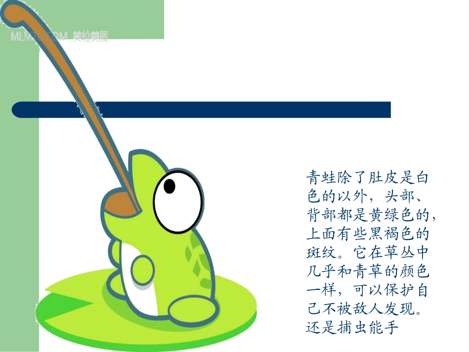 神奇的动物王国_第3页