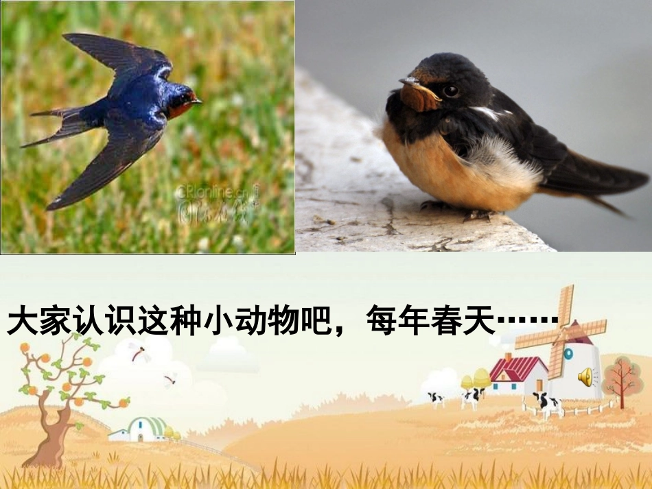 苏教版五年级上_《习作六》课件2_第2页