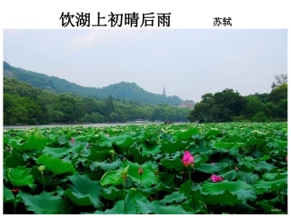饮湖上初晴后雨苏轼