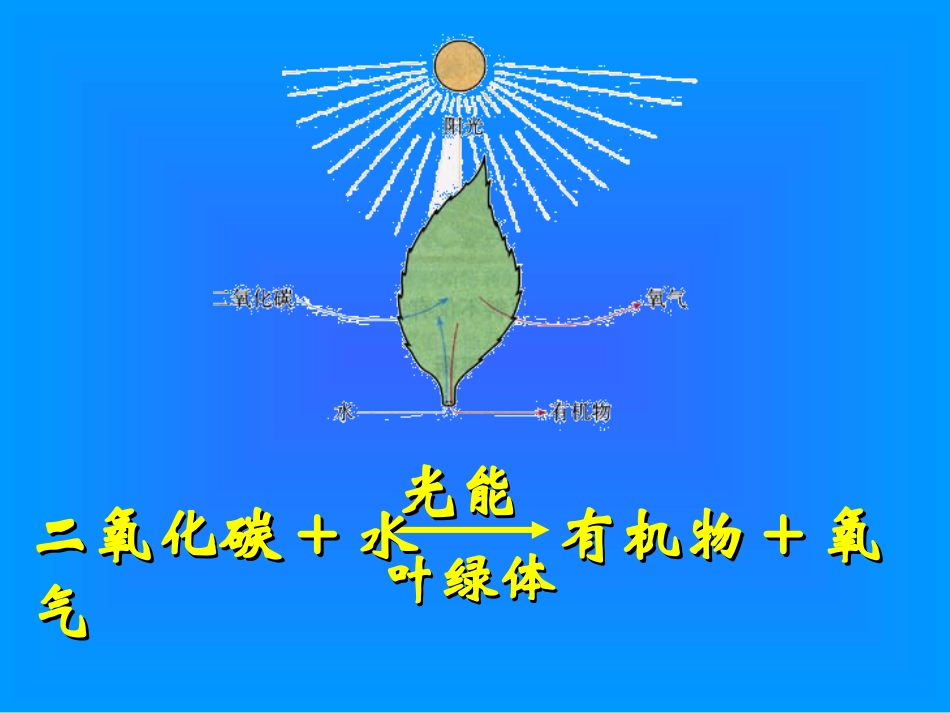 中学李耀华绿色植物与生物圈中的碳氧平衡_第1页