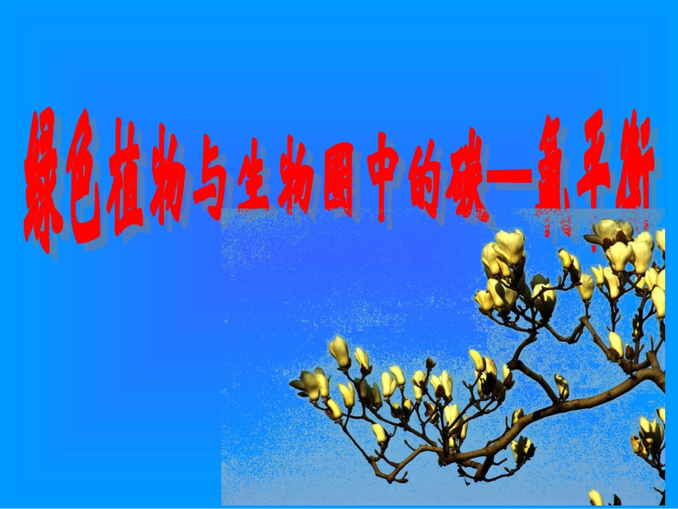 中学李耀华绿色植物与生物圈中的碳氧平衡_第2页