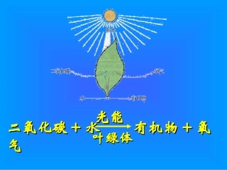 中学李耀华绿色植物与生物圈中的碳氧平衡