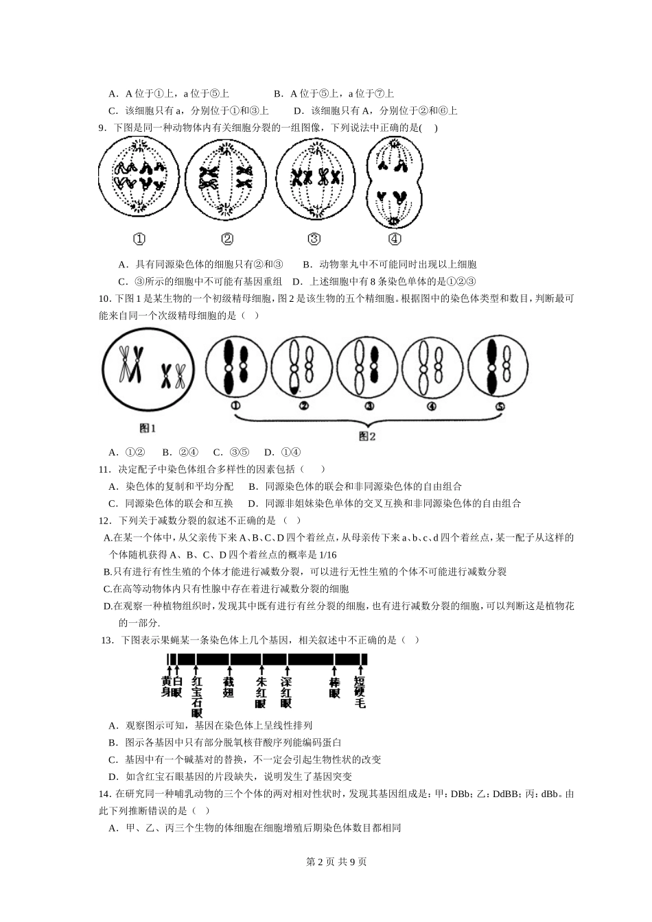 第2章_基因和染色体的关系(1)_第2页