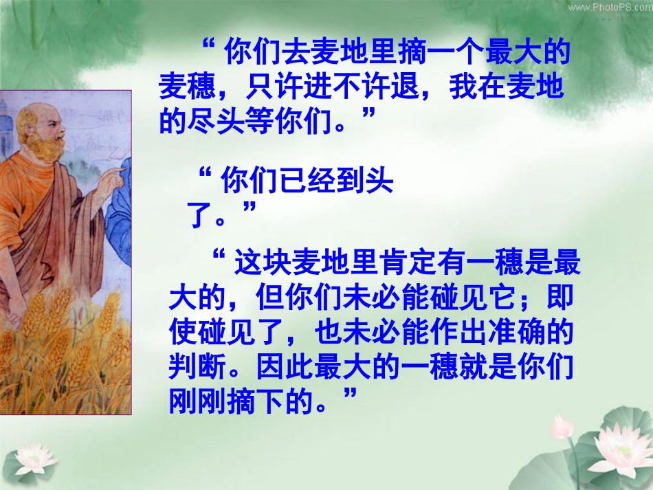 最大的麦穗6_第3页
