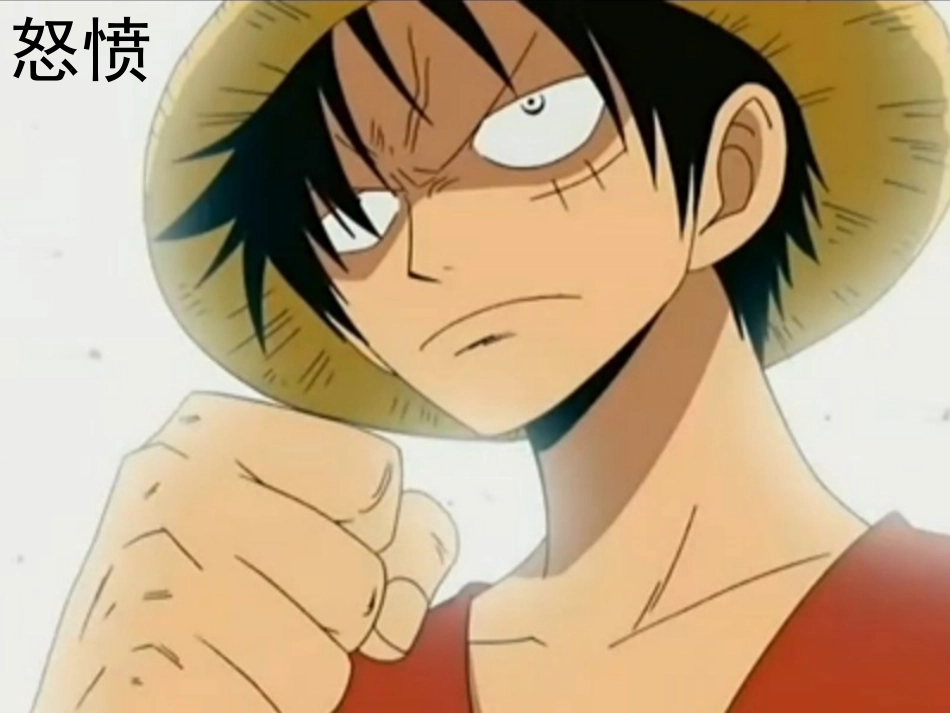 综合《会变的脸》PPT_第3页