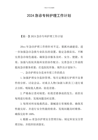2024急诊专科护理工作计划