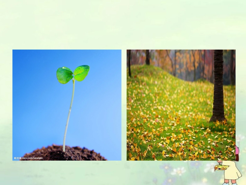 三下_18处处皆学问课件_第3页