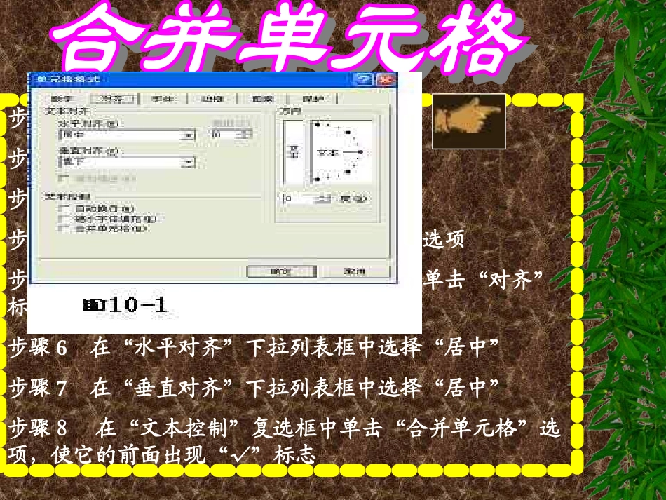 修饰单元格1PPT课件_第3页