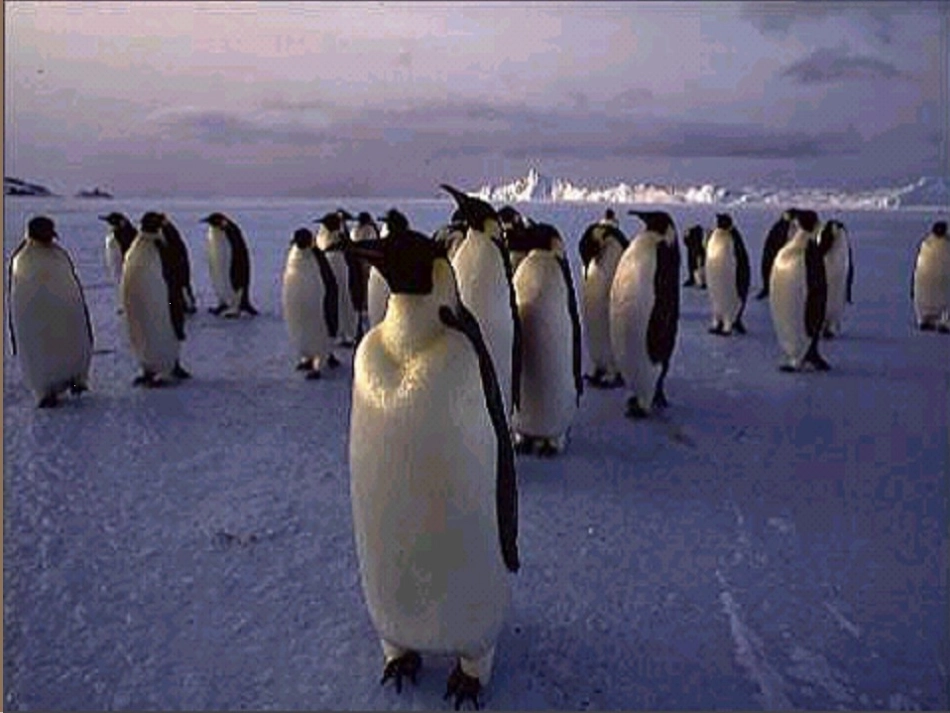 三个太阳课件_第3页