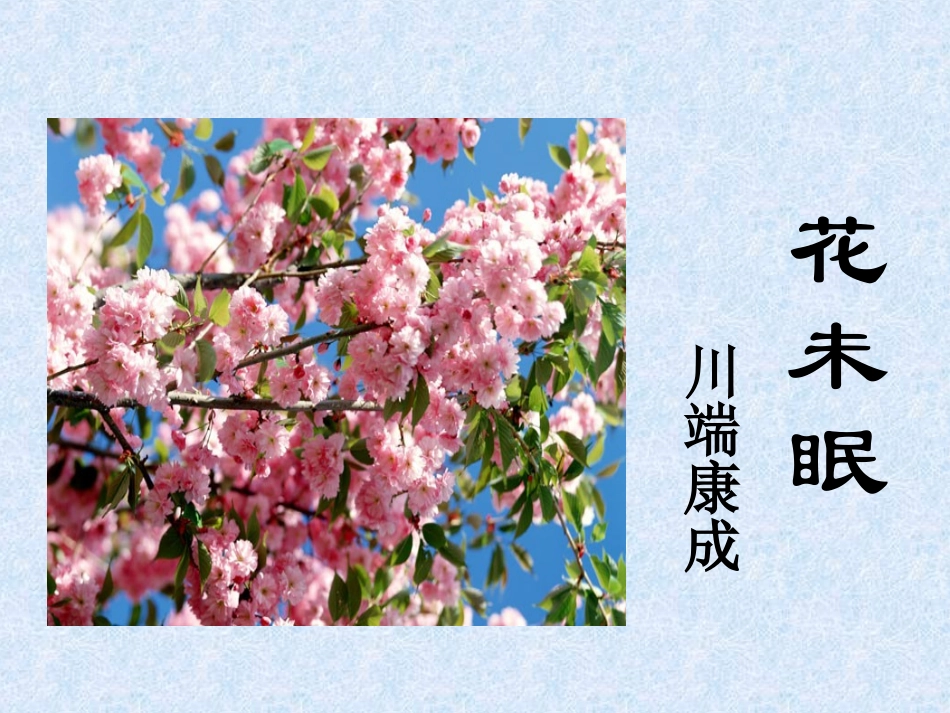 《花未眠》课件_第2页