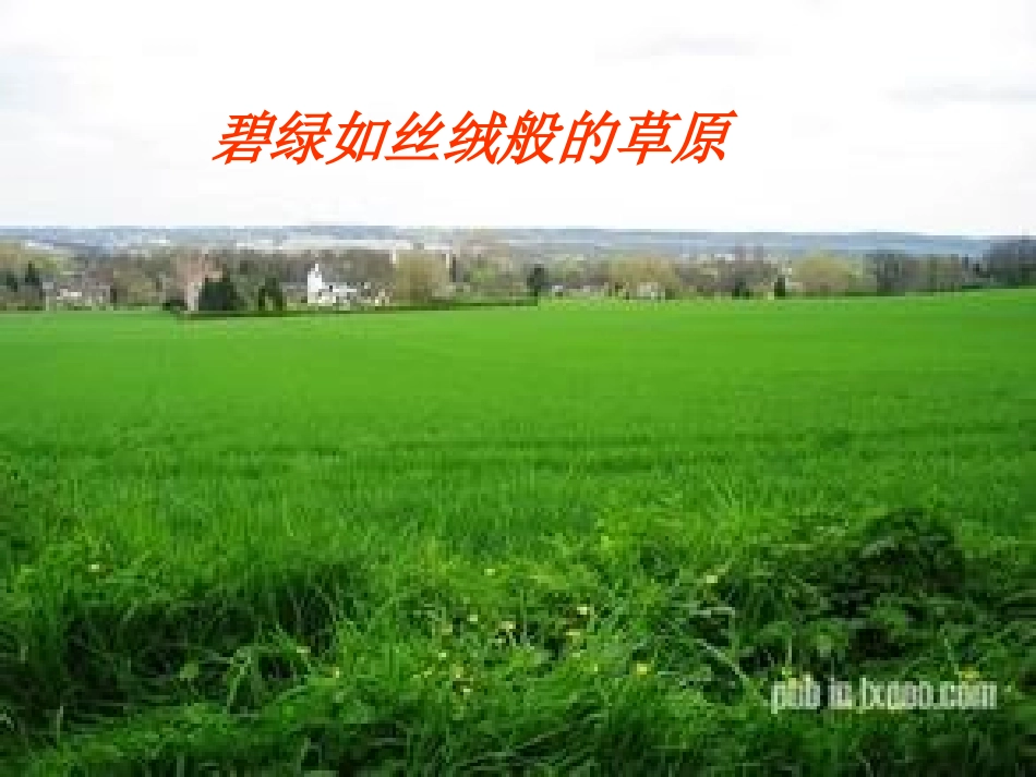 王四年级上苏教版《田园诗情》课件_第1页