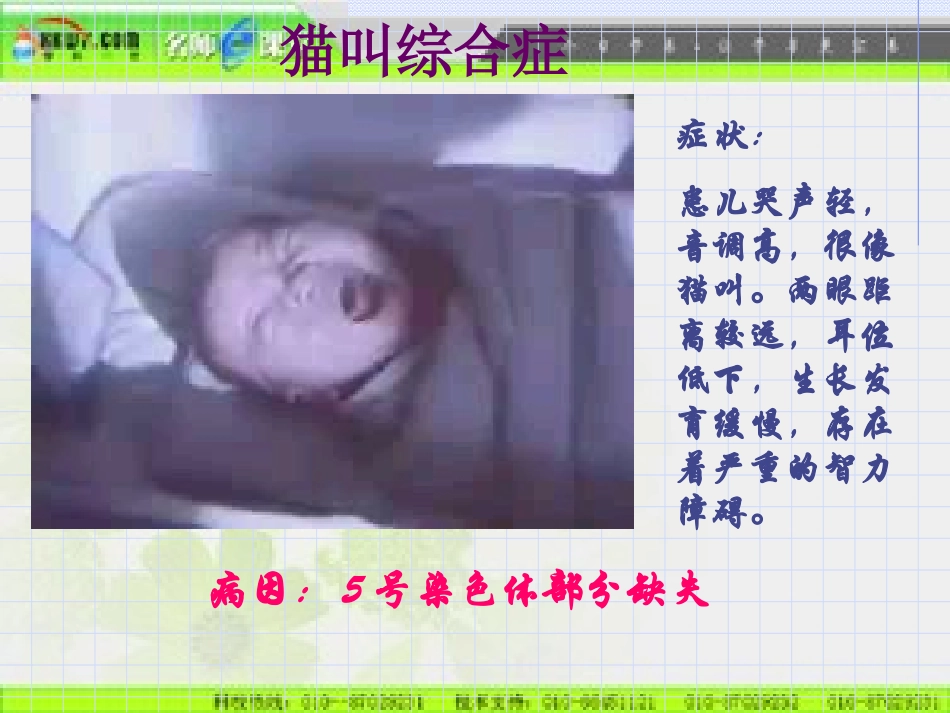 染色体变异 (2)_第2页